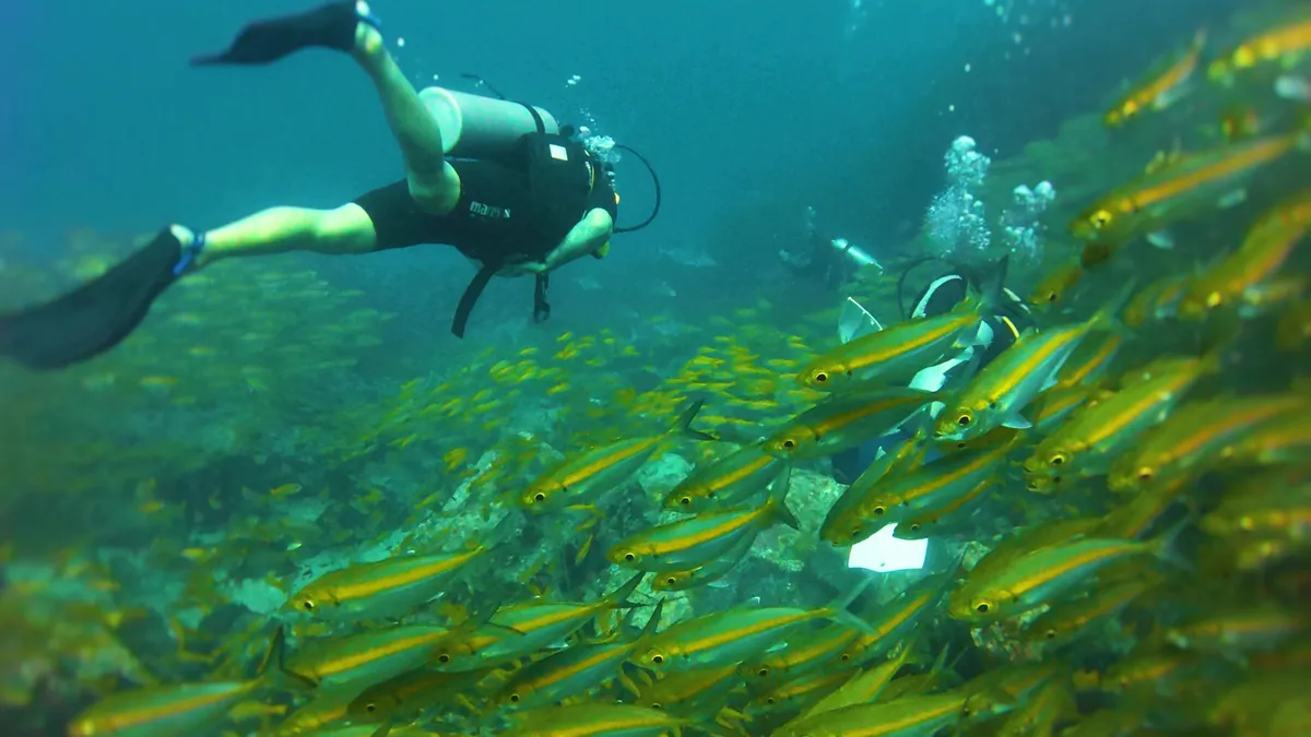 Buceador junto a un banco de peces en Tailandia